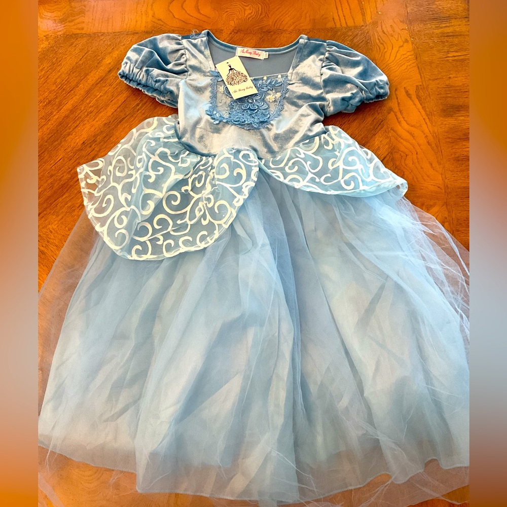 NWT Princess dress